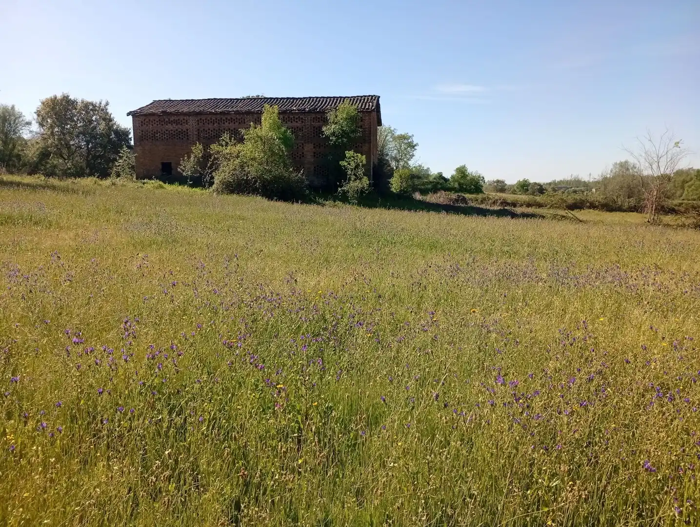 Terreni e lotti in vendita a Talaveruela de la Vera, imagen 70