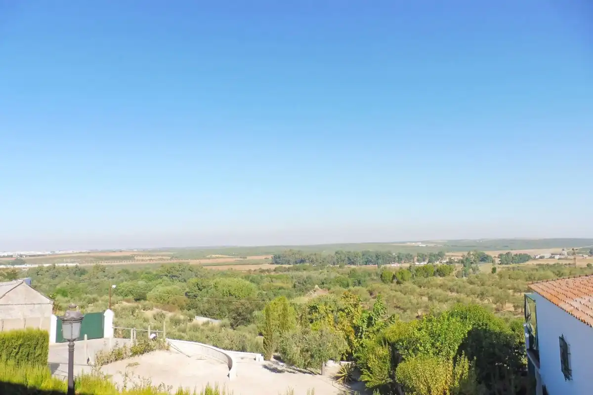 Houses for rent in Aznalcázar
