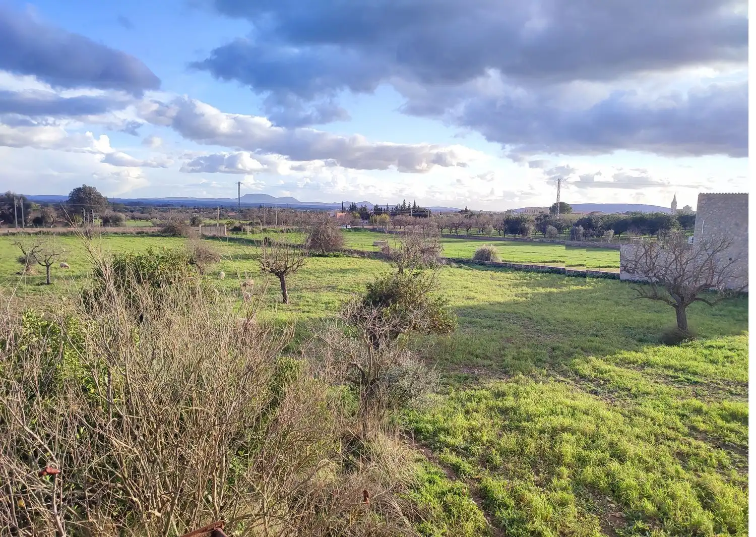 Country homes for sale in Binissalem  with Private garden