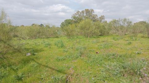 Magnífica parcela urbana en la Urb. Sierra Norte  Castilblanco de los Arroyos!, imatge 4