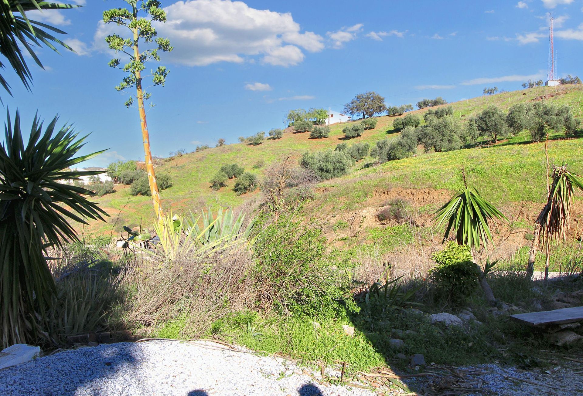 Finca rústica en venda en Casabermeja amb Calefacció, Jardí privat i Terrassa