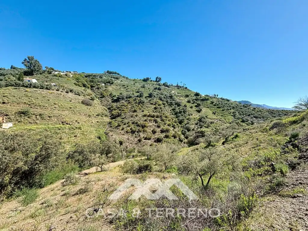 Detached house with pool for sale in Diseminados Cerrillo El, imagen 50