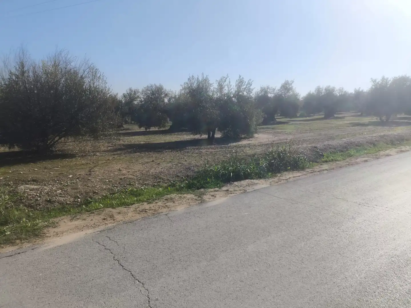 Terreni e lotti in vendita a Mengíbar, imagen 5