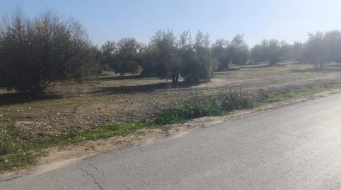 Se vende gran solar junto al municipio de Mengibar, immagine 5