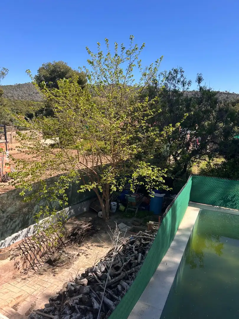 Chalet en venta en Calle PLA DE PAVIA, imagen 5