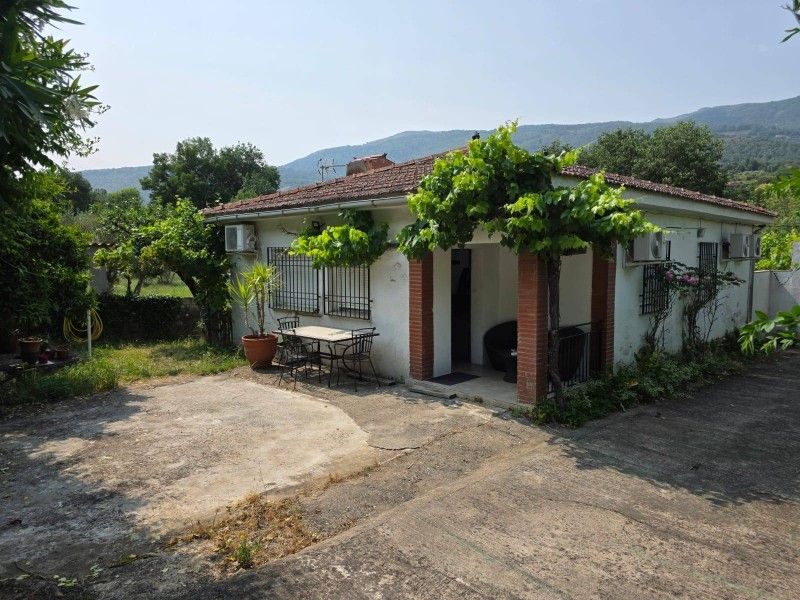 Jardí de Casa o xalet en venda en Casas del Castañar amb Aire condicionat, Traster i Piscina