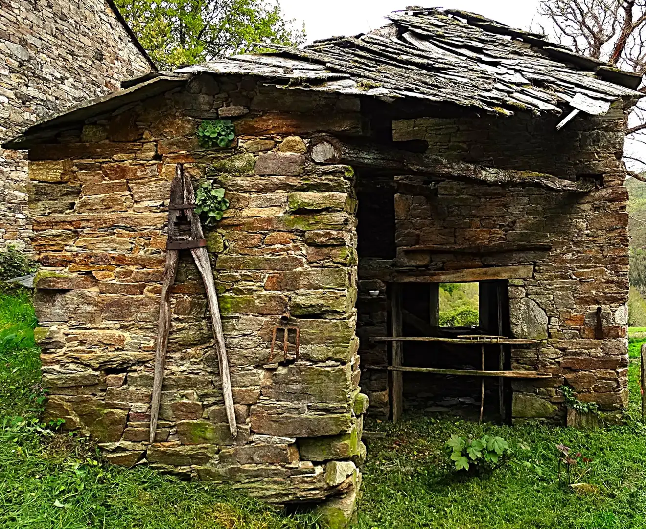 Vista exterior de Finca rústica en venda en Muras
