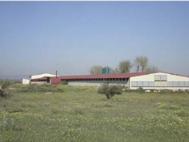 Terreni e lotti in vendita a Herencia