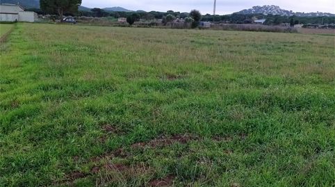 Photo 3 of Land for sale in Carrer del Figuerar, 9, Els Masos de Pals, Pals
