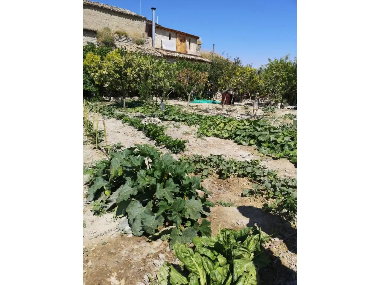 Jardín de Residencial en venta en Almudévar