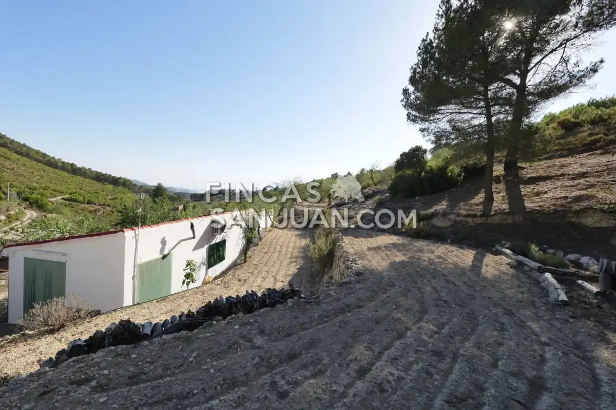 Residential zum Verkauf in Torremanzanas / La Torre de les Maçanes