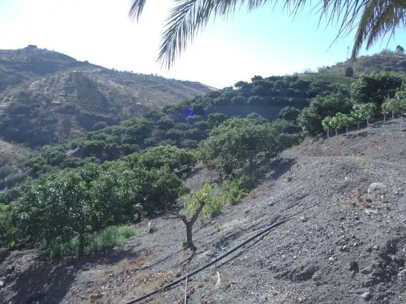 Casa rústica en venda a Viñuela, imagen 5