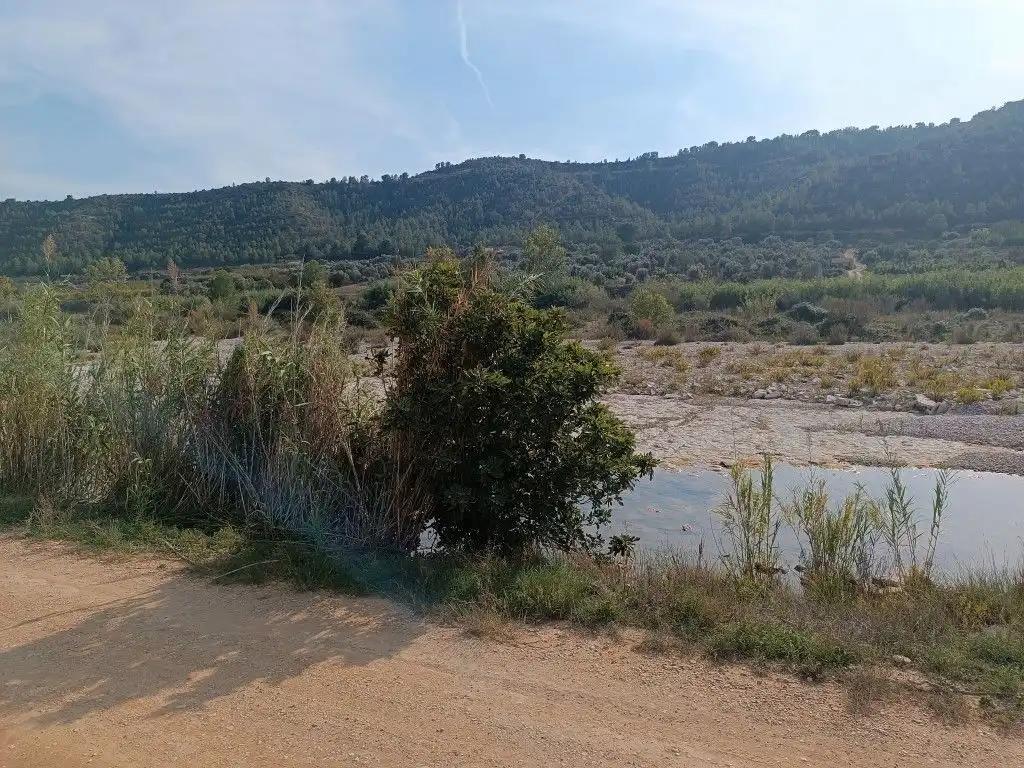 Terreni e lotti in vendita a Avenida Orbe Cano 12, imagen 5