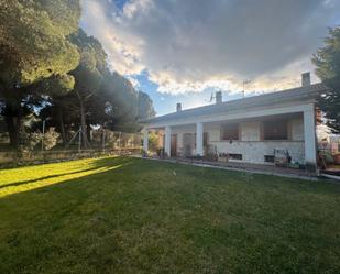 Jardí de Casa o xalet en venda en Sardón de Duero amb Aire condicionat, Calefacció i Jardí privat