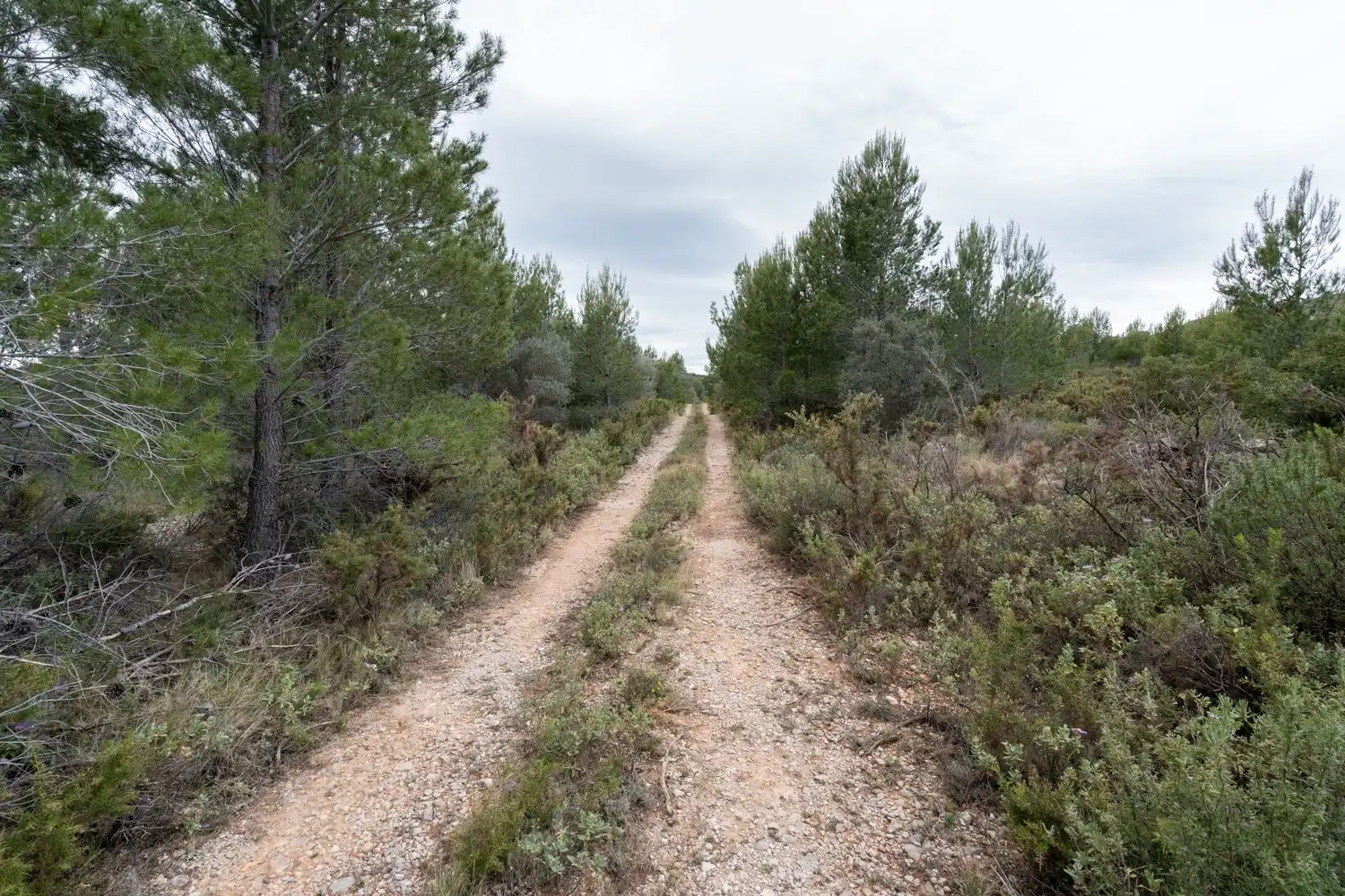 Grundstücke zum Verkauf in Canet lo Roig