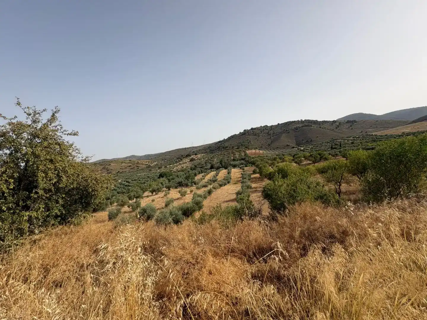Pis en venda en Padul amb Jardí privat
