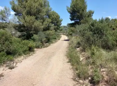 Terreny rústic en venda a Paraje El Cuartito, imagen 9