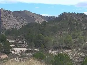 Terreny rústic en venda a Tibi, imagen 17