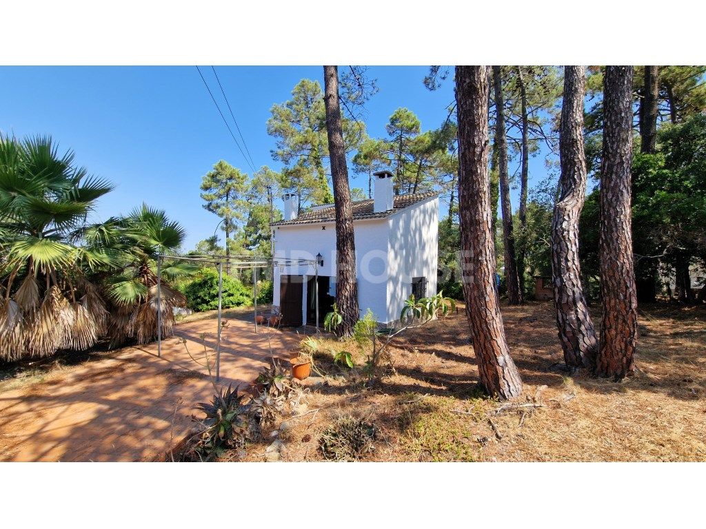 Vista exterior de Casa o xalet en venda en Lloret de Mar