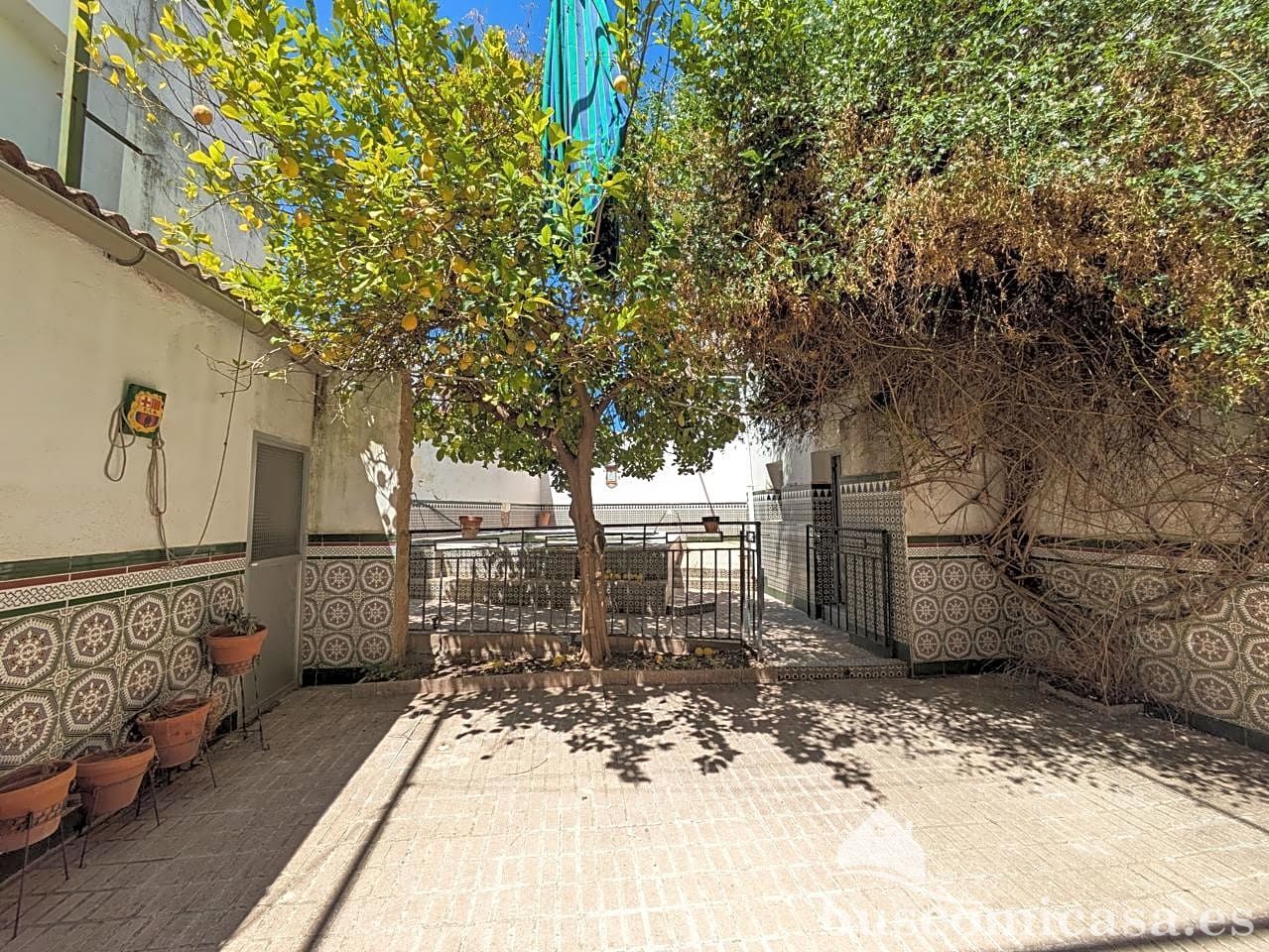 Vista exterior de Casa o xalet en venda en Linares amb Jardí privat, Terrassa i Piscina