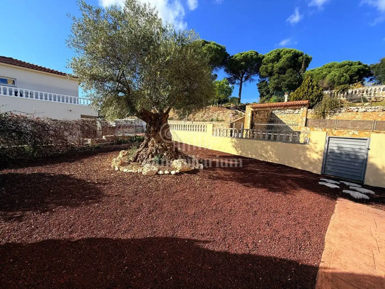 Jardí de Casa o xalet en venda en Lloret de Mar amb Calefacció, Jardí privat i Terrassa