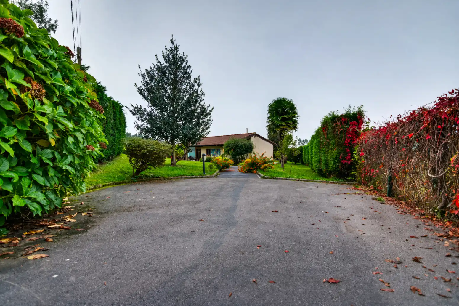 Vista exterior de Casa o chalet en venta en Cudillero, Asturias