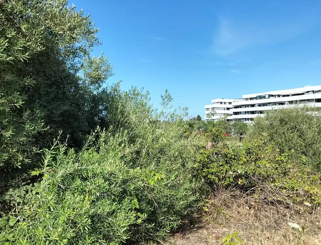 Terreni e lotti in vendita a Carretera de Palomares, imagen 7