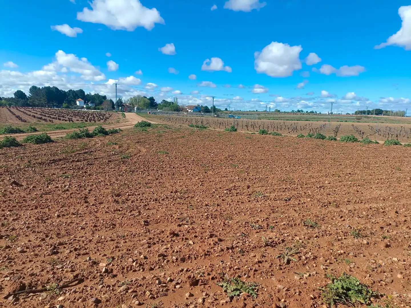 Residencial en venta en El Toboso