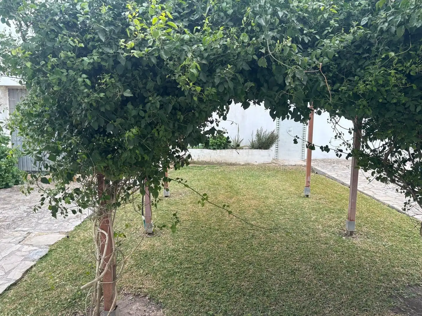 Finca rústica en venda en Barbate amb Jardí privat, Terrassa i Traster