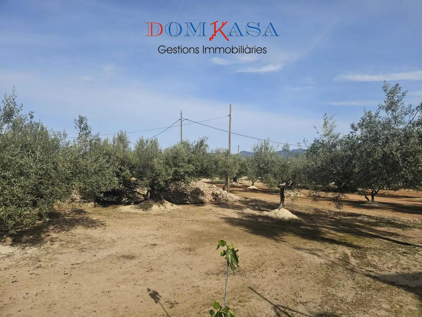 Rural land for sale in Aldover, imagen 24