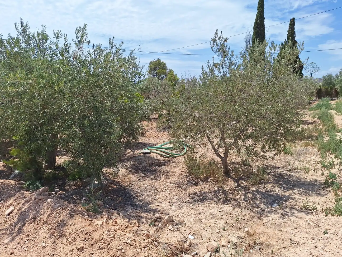 Casa o xalet en venda en Alicante / Alacant amb Jardí privat, Terrassa i Traster