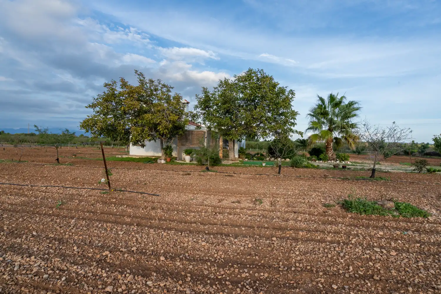 Terreno rustico in vendita a Carretera del Cementiri 9, imagen 34