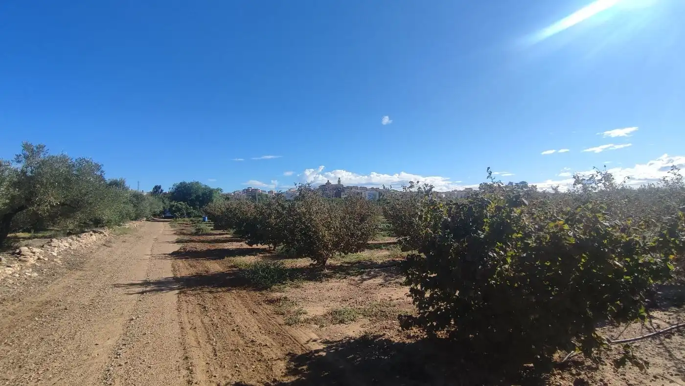 Finca rústica en venda en Constantí amb Jardí privat, Terrassa i Moblat