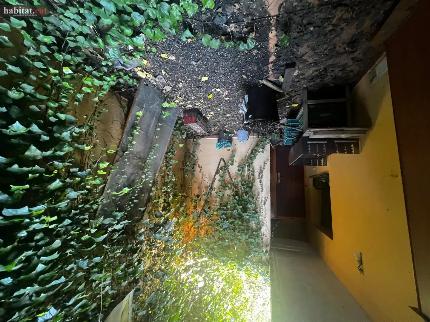 Houses for sale in Piera