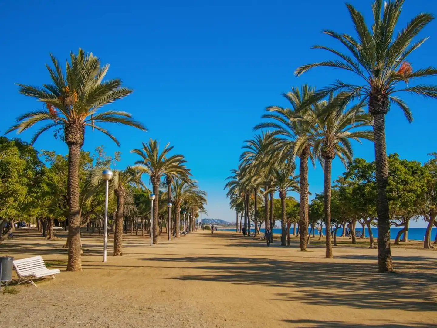 Office space with lift to rent in Barcelona, imagen 15