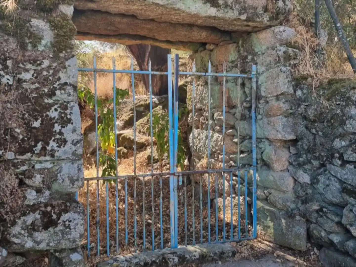 Grundstücke zur Miete in Montánchez