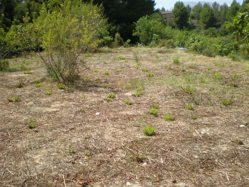 Terreno en venta en Callosa d'en Sarrià