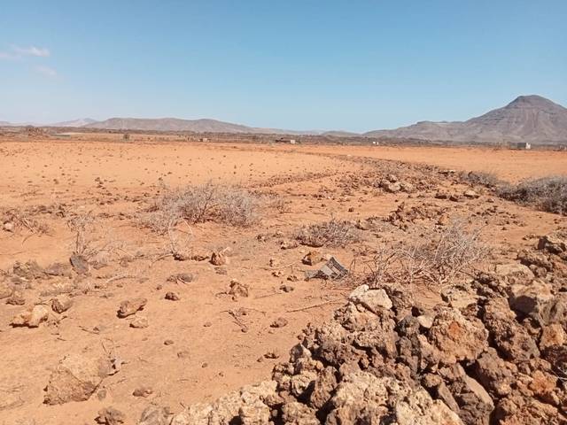 Terreno en Venta en Tiscamanita