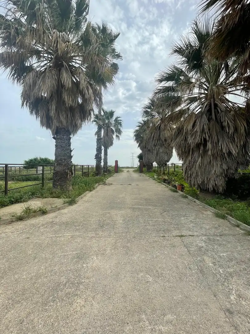 Finca rústica en venda en Niebla amb Terrassa