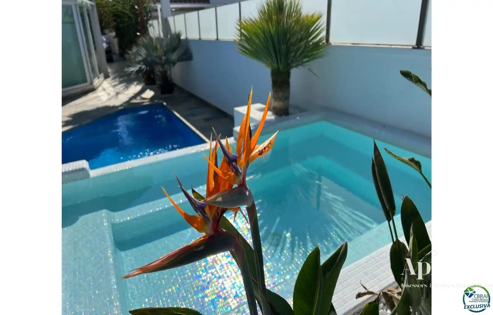 Villa con piscina in vendita a Falconera