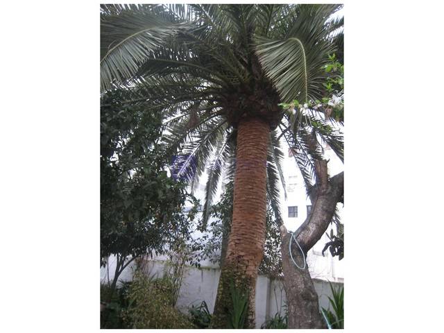 Piso en Venta en Casco Antiguo