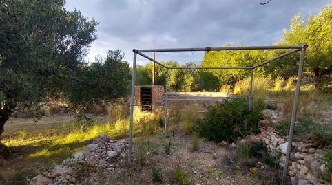 Photo 2 of Land for sale in Centre, Mont-roig del Camp