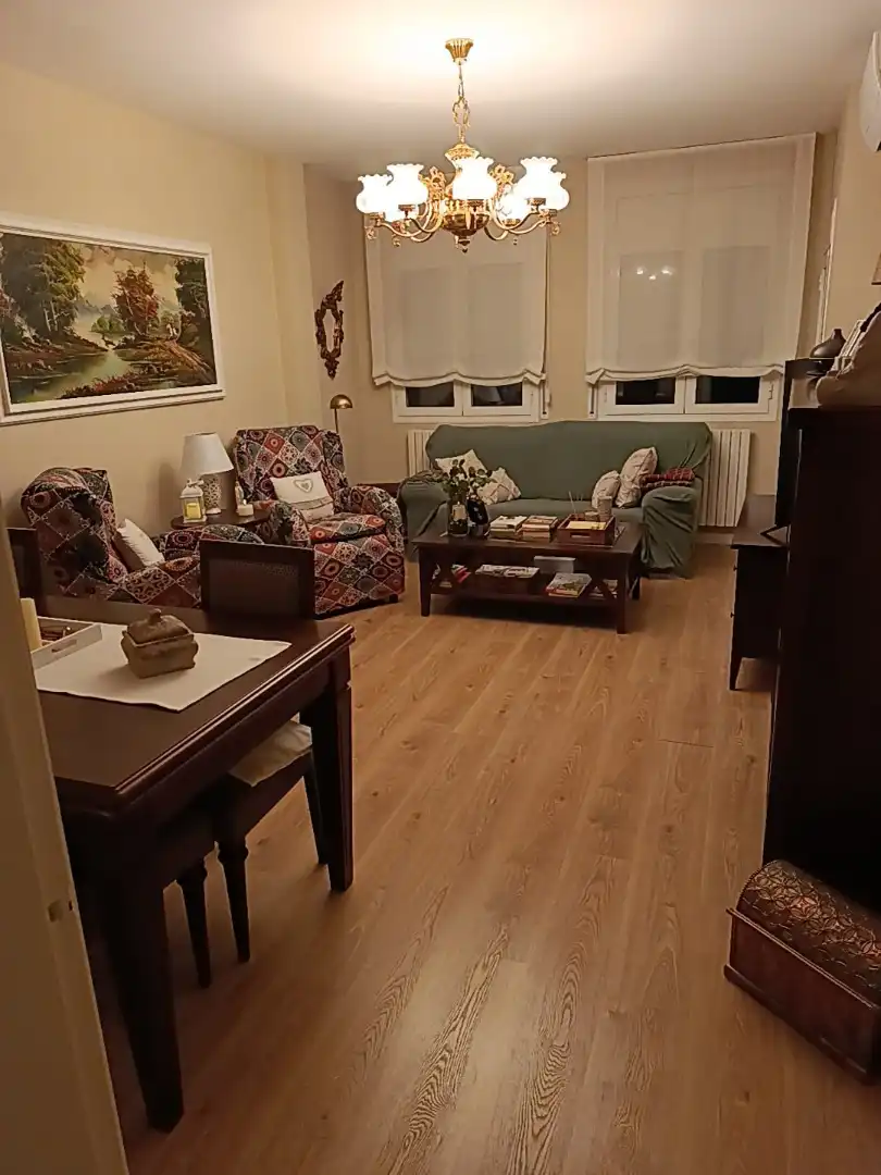 Sala d'estar de Pis en venda en Lleida amb Aire condicionat, Calefacció i Parquet
