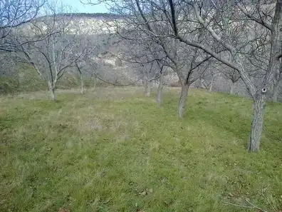 Terreny rústic en venda a Fondón, imagen 5
