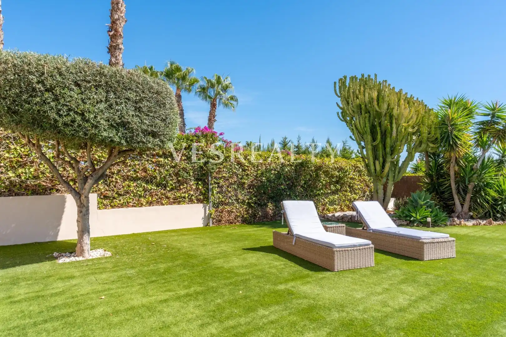 Villa con terrazza in vendita a OLIVERA, imagen 10