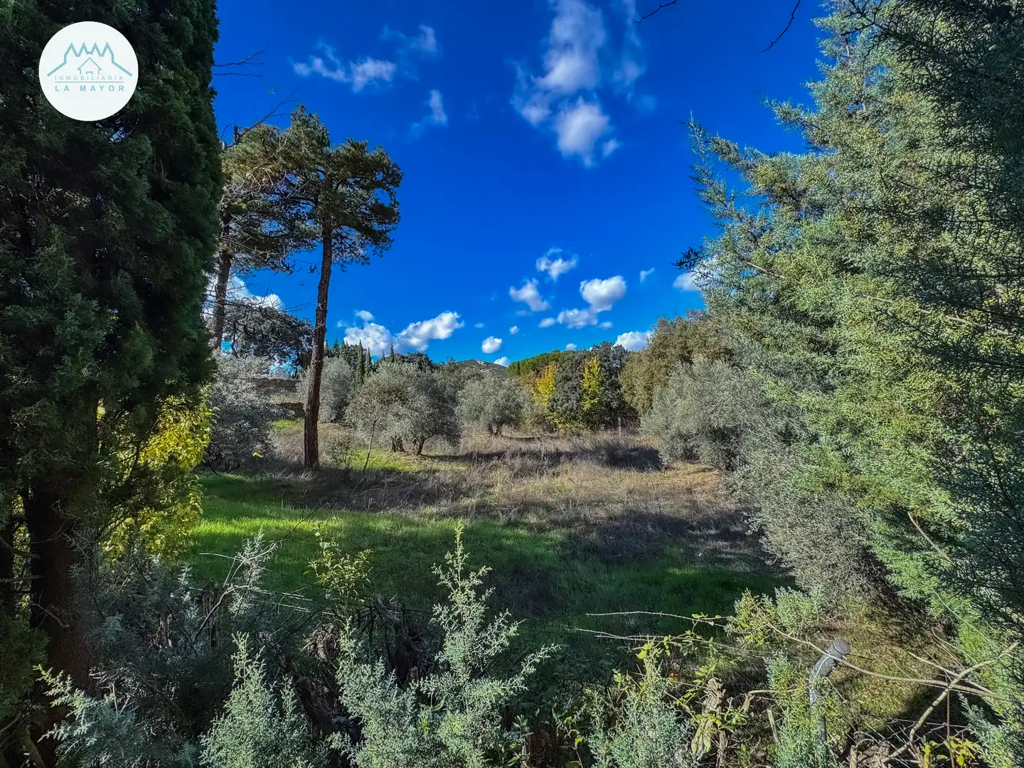 Casa o chalet en venta en Piedrabuena con Calefacción, Jardín privado y Terraza
