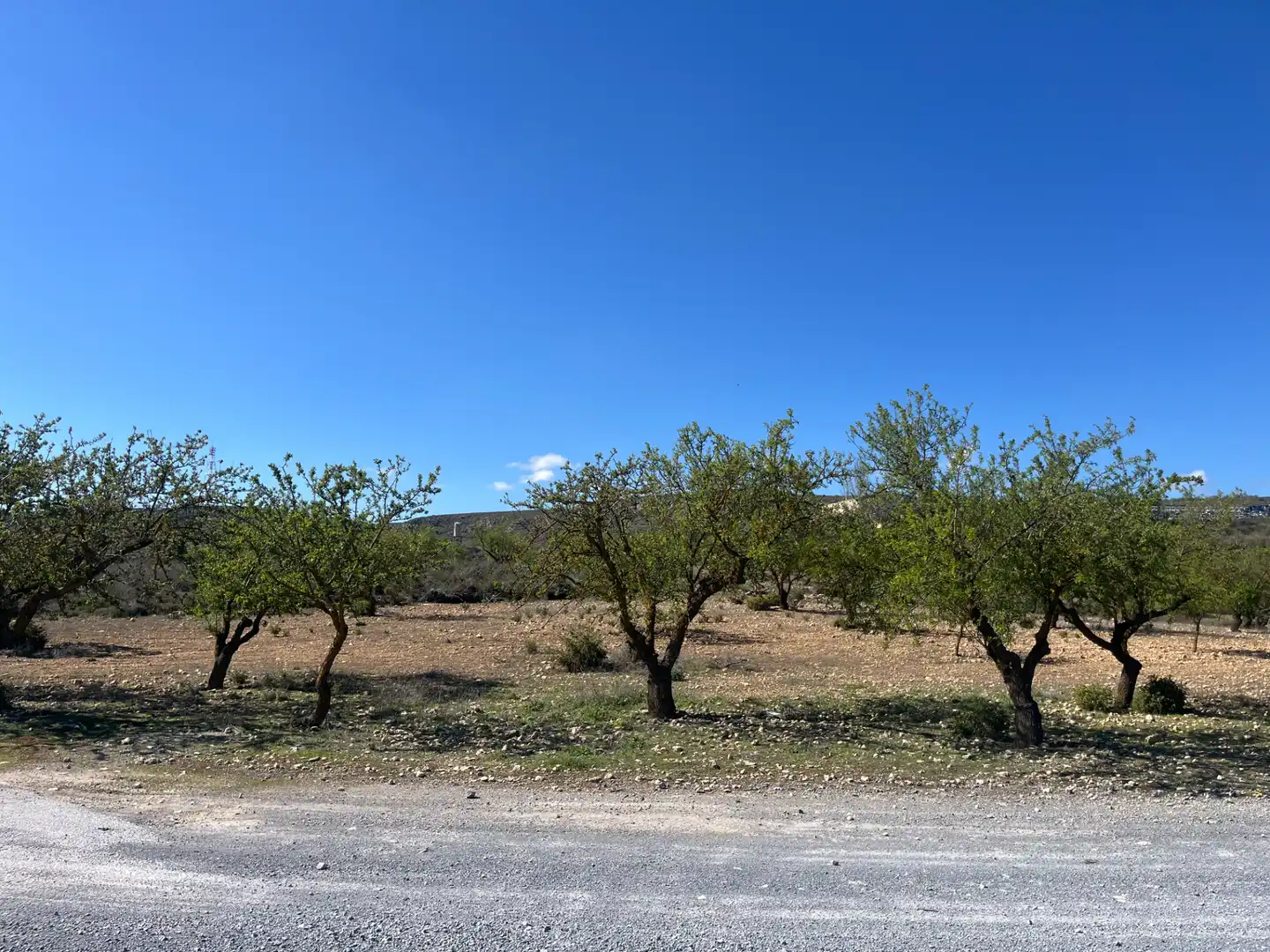 Rustikales Grundstück zum Verkauf in Avenida de Andalucía