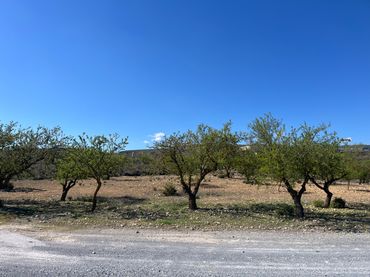 Terreno rustico in vendita a Avenida de Andalucía