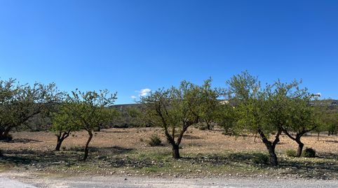 Finca en Carretera de la cabra Padul