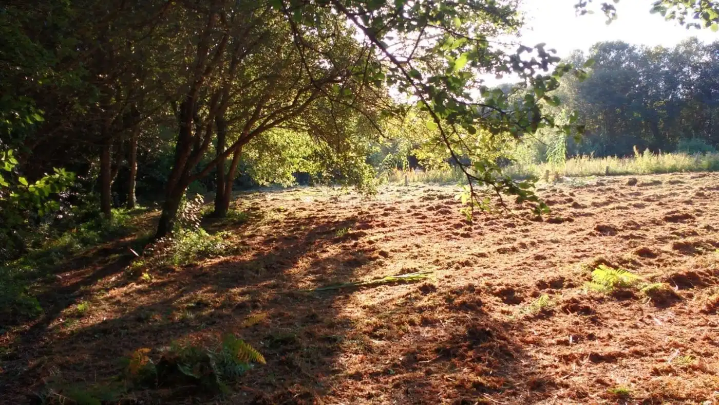 Terreno rustico in vendita a Rua Bon de Abaixo 16, imagen 3